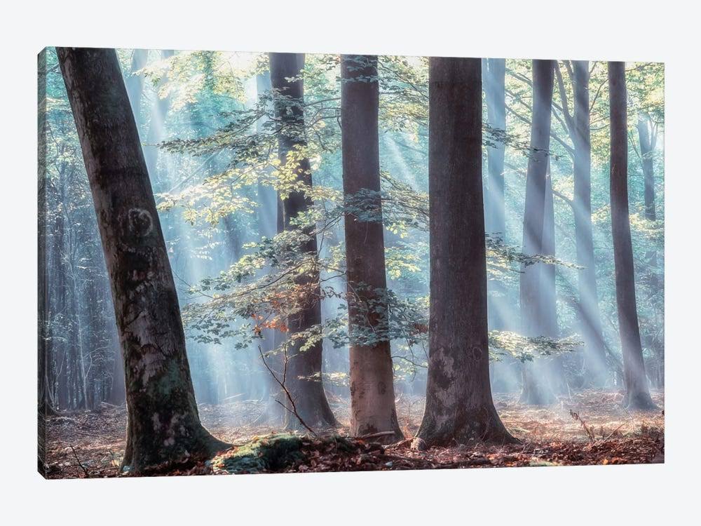 Canvas Prints O19446