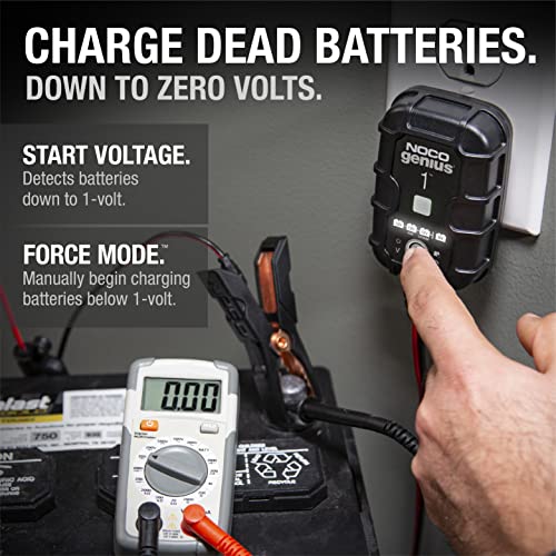 1A 6V/12V Smart Battery Charger B21152