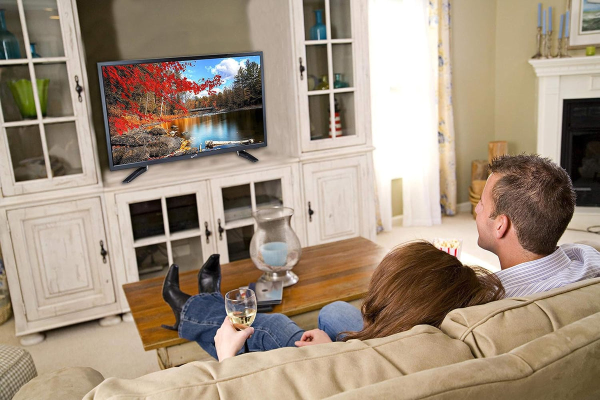 24 Flat Screen HDTV & Monitor with HDMI N493