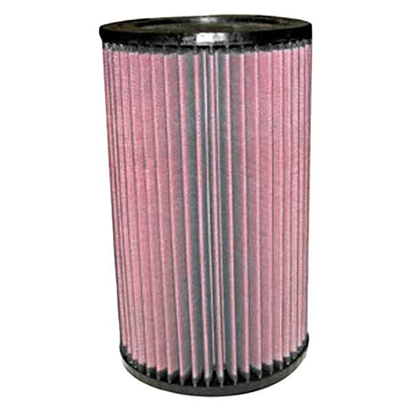 Air Filter D9246
