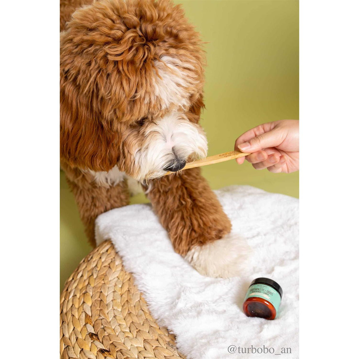 Dog Peppermint Toothpaste N350