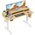 Height Adjustable Electric Standing Desk with Storage Shelf Q979