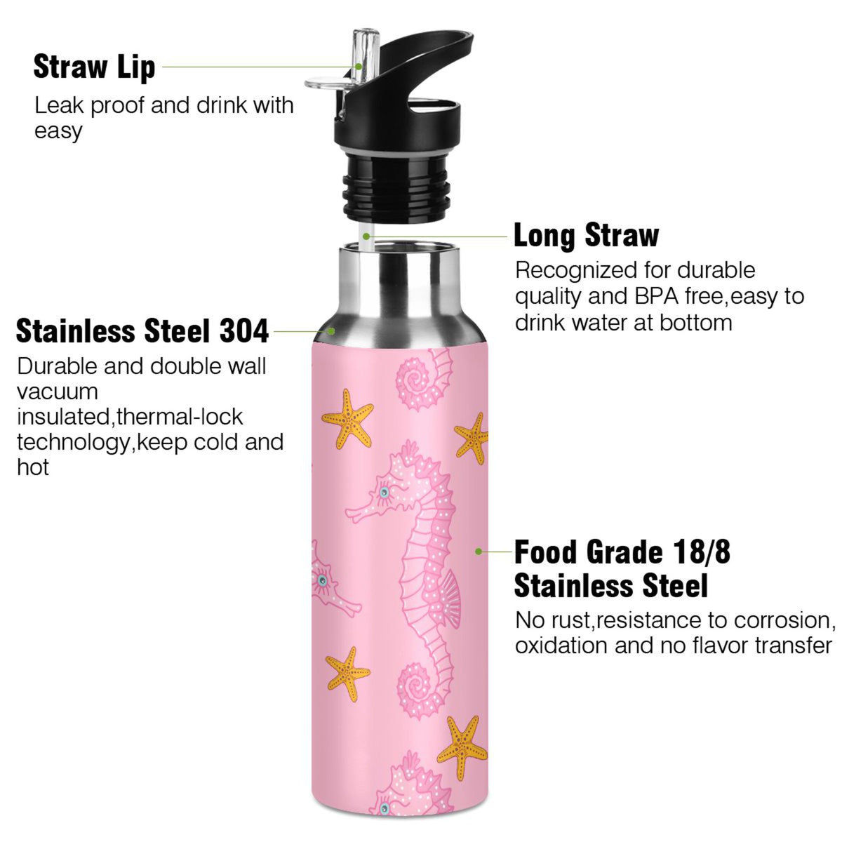 Pink Seahorse Starfish Stainless Steel Insulated Water Bottle F64998