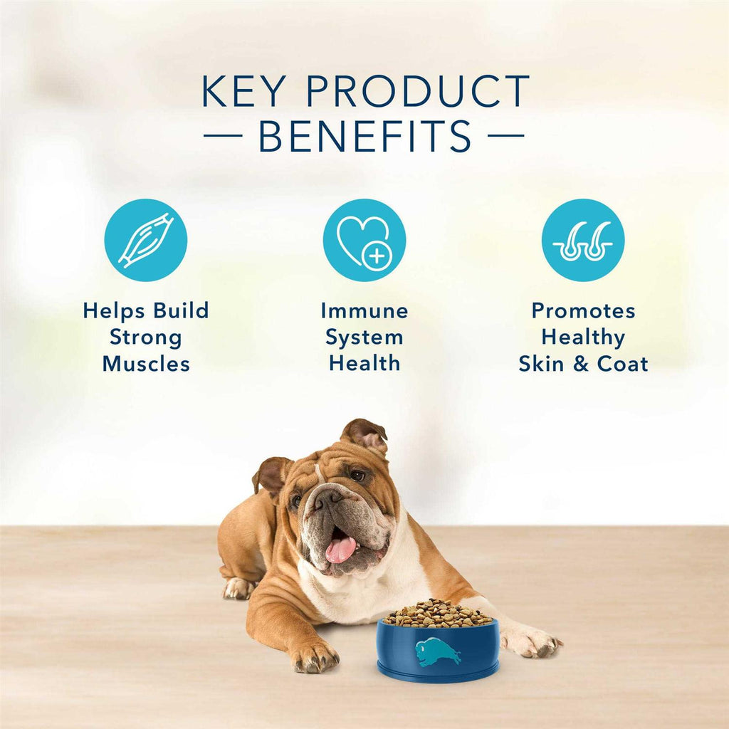Salmon & Potato Dry Dog Food J643