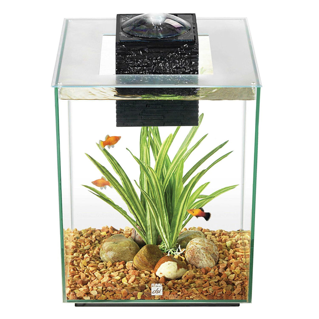 Aquarium G52485