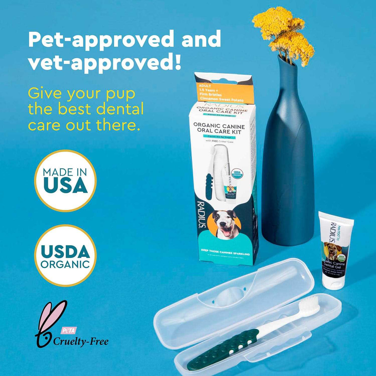 Adult Dental Kit V857
