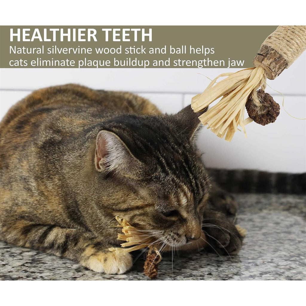 Catnip Silvervine Chew Toy R525