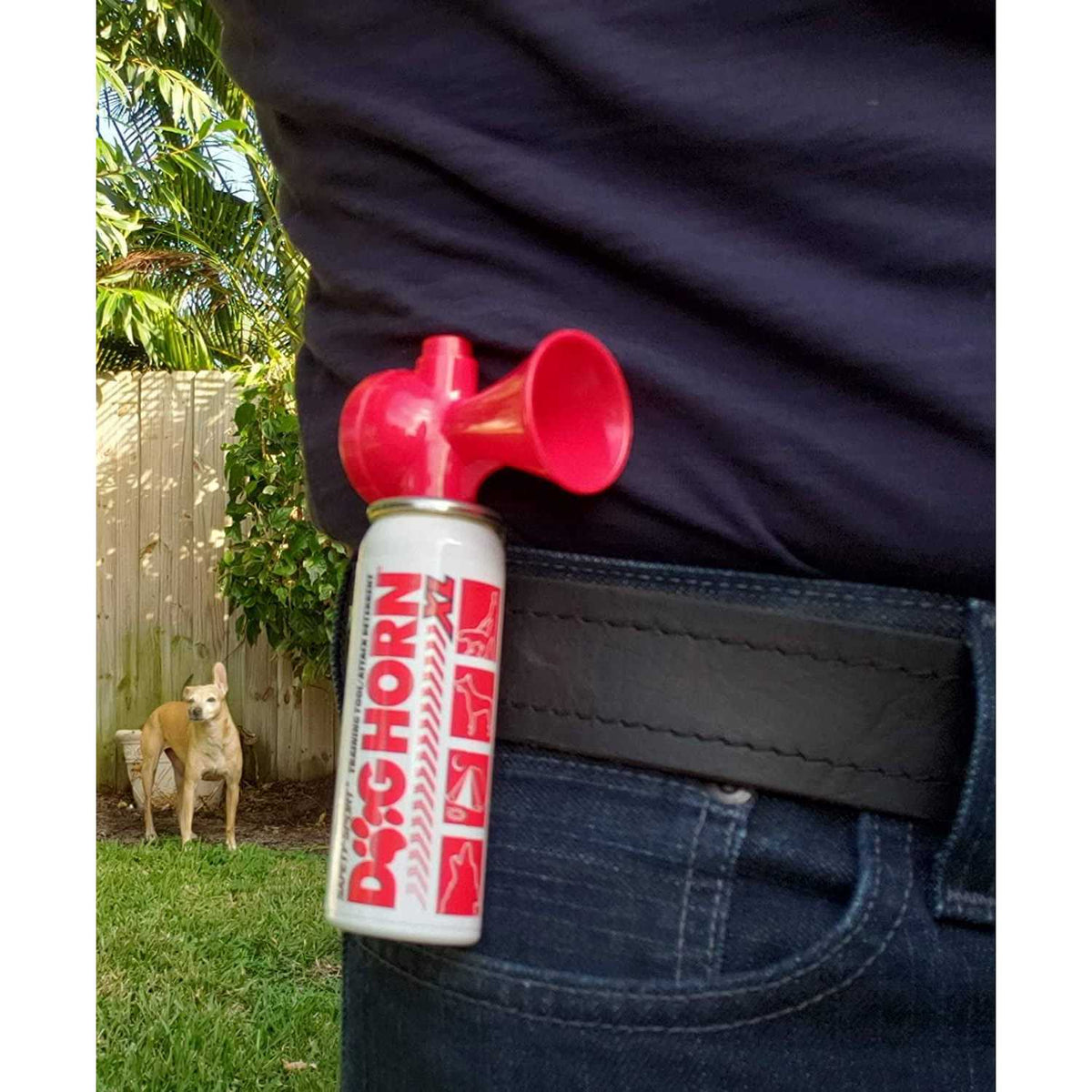 Dog Horn XL F172758
