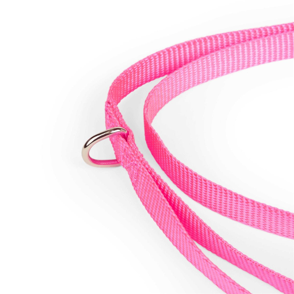 Dog Lead R12048