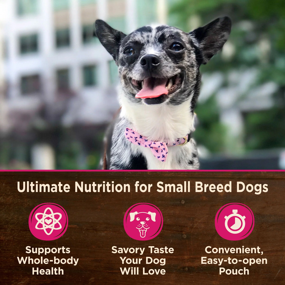 Grain Free Small Breed Wet Dog Food, Shredded Chicken & Lamb in Gravy, 3-Ounce (Pack of 12) O4017