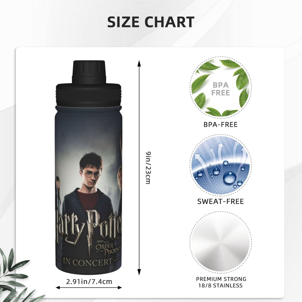 Insulated Stainless Steel Water Bottle 18OZ I216
