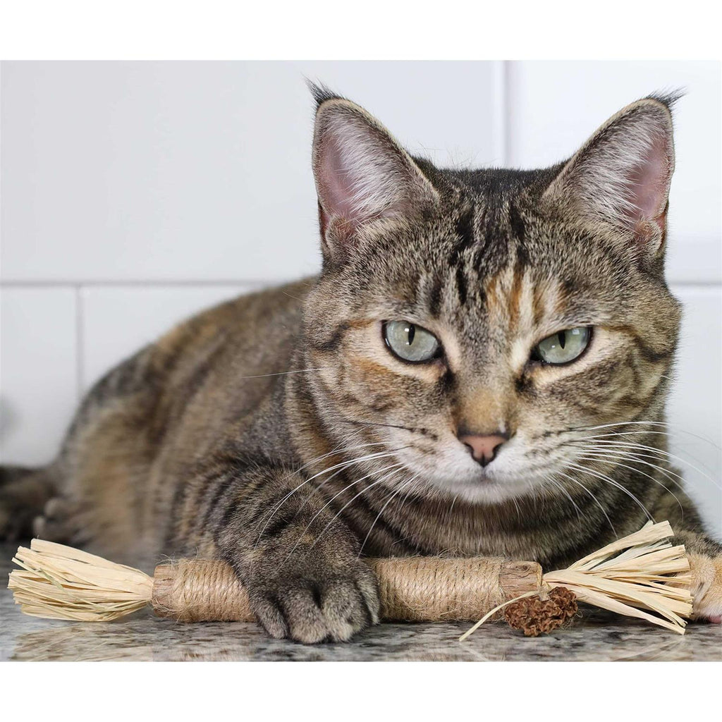 Catnip Silvervine Chew Toy R525