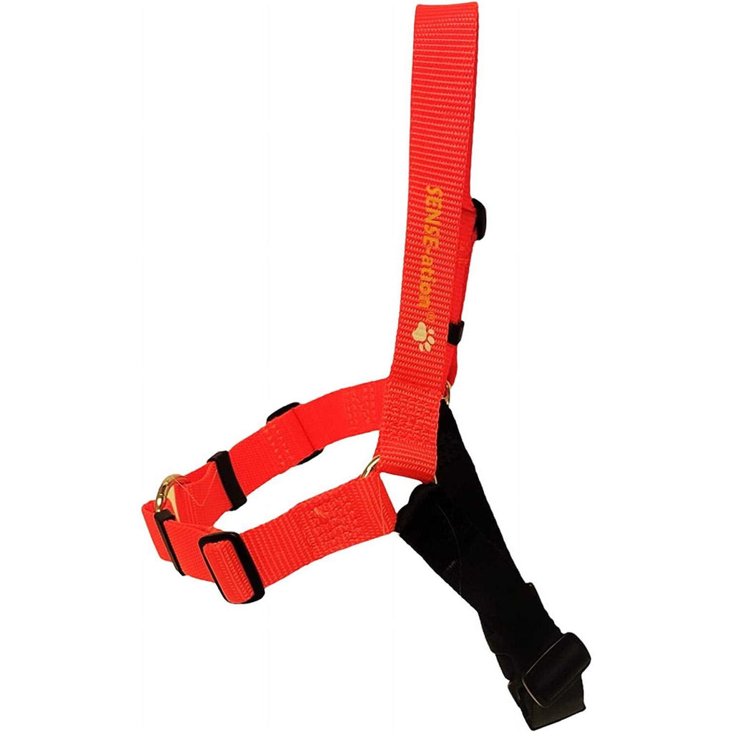No Pull Dog Harness D3708