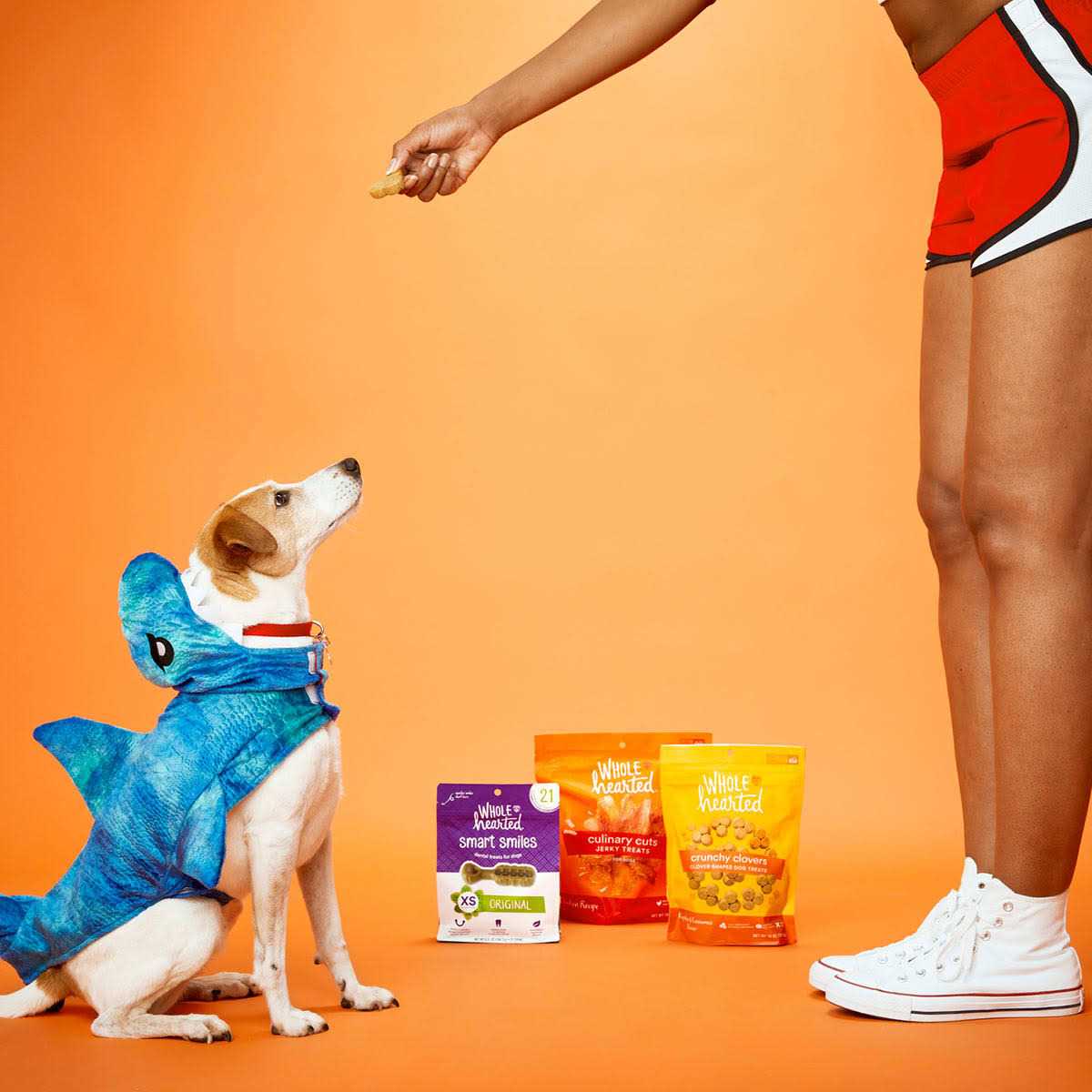 Chicken Recipe Jerky Dog Treats F6280