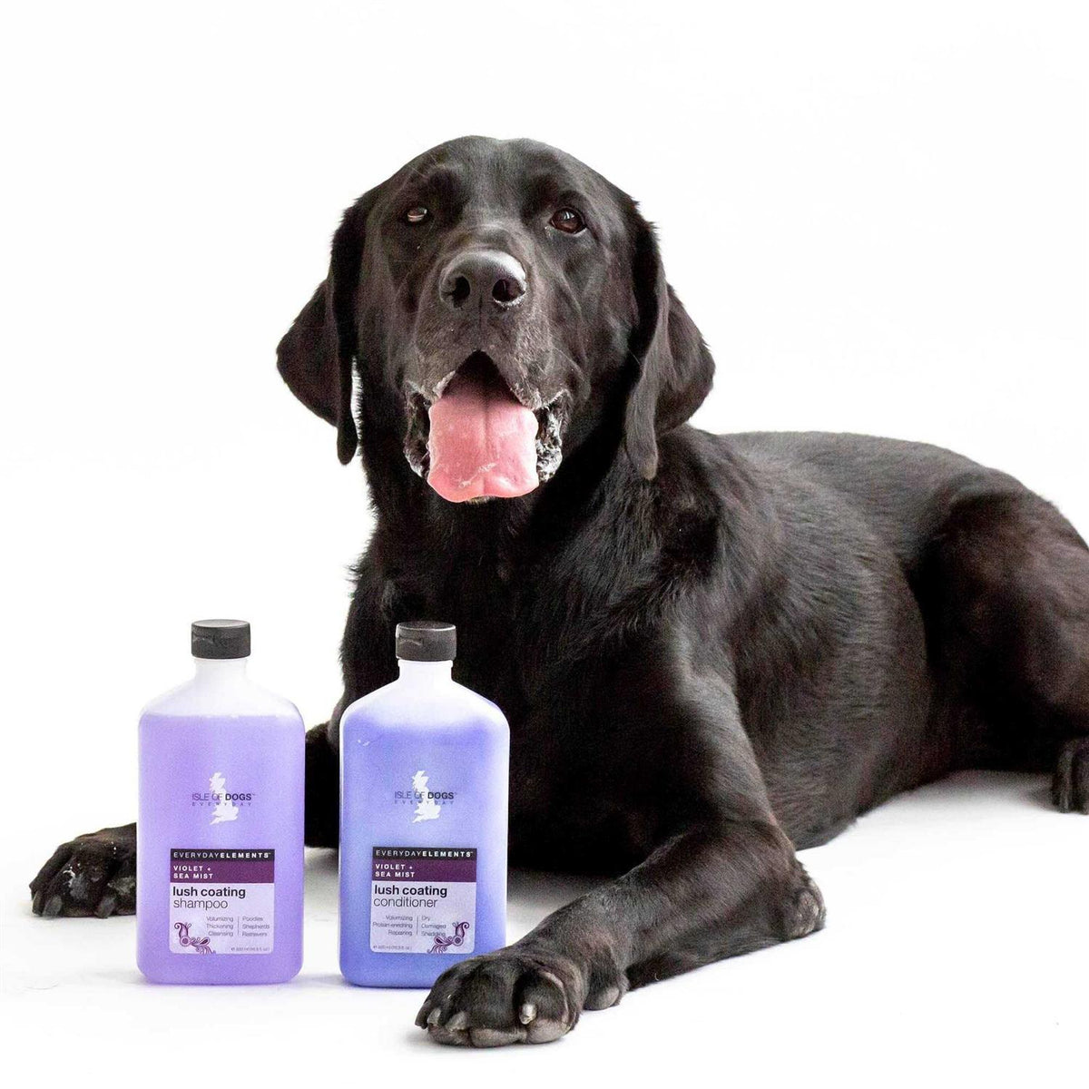 Violet & Sea Mist Dog Shampoo L9383