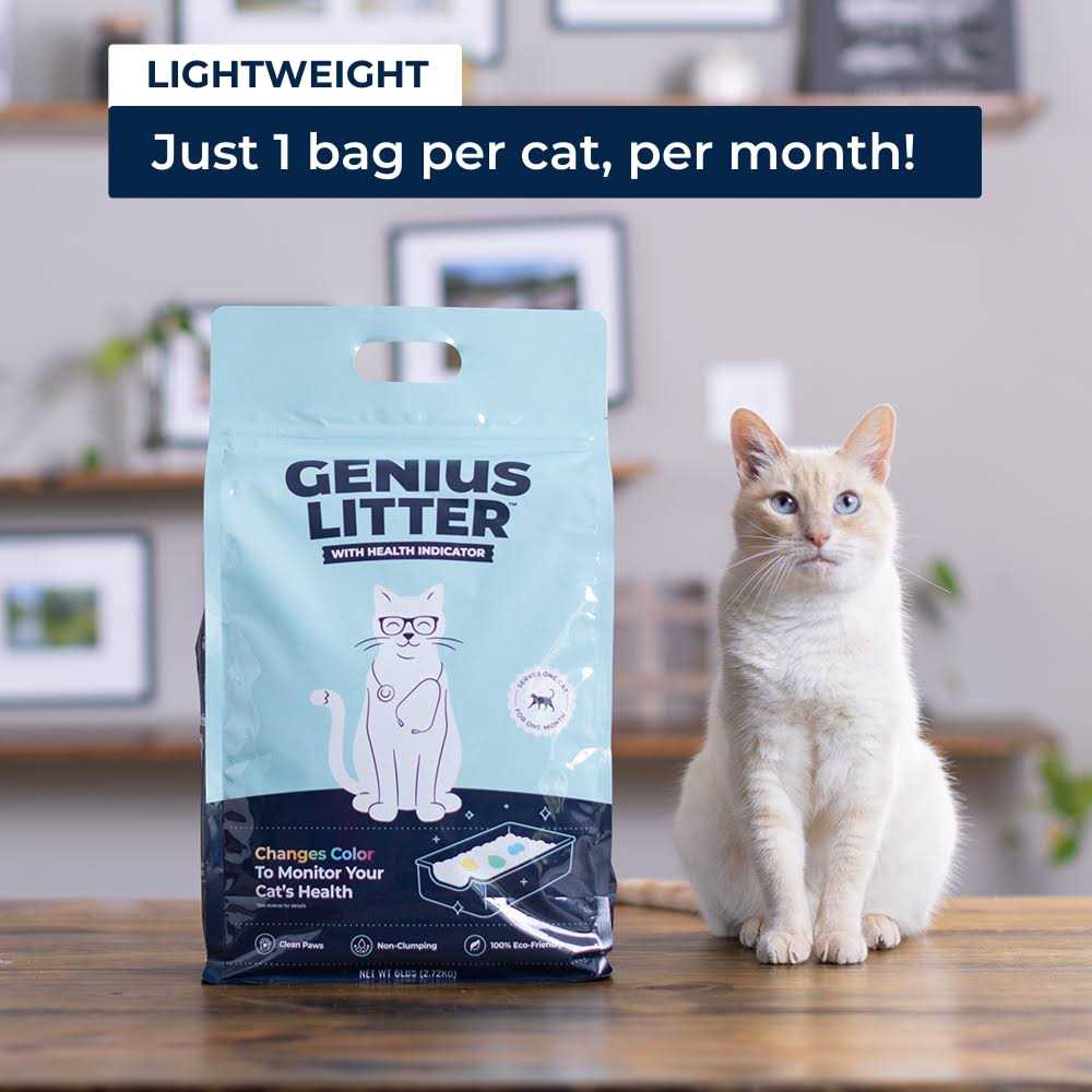 Cat Litter D856737